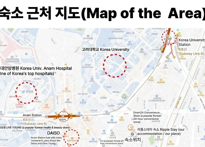 가족여행,고대역7분,안암역7분,동대문,명동,고대안암병원,호텔침구,아늑함,세련된,청결함,파티 Séoul